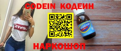 гашик Моздок