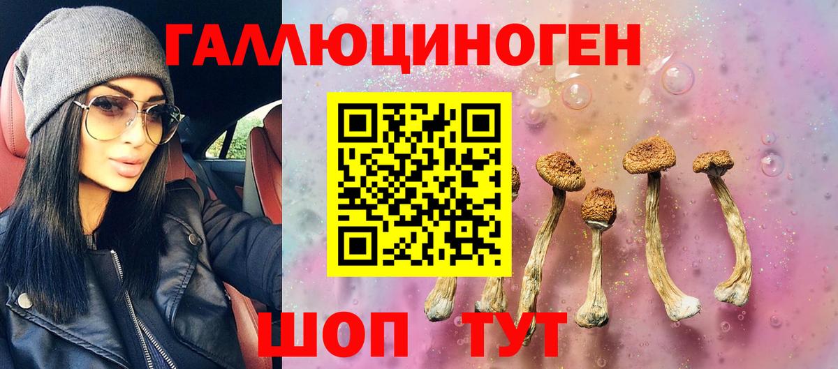 купить наркоту  Псилоцибиновые грибы GOLDEN TEACHER  Вход с VPN  Дмитров 