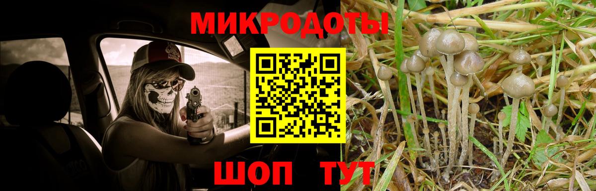Галлюциногенные грибы ЛСД Дмитров